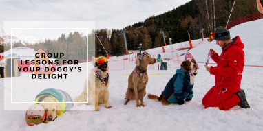 Ecole de ski canine La Plagne