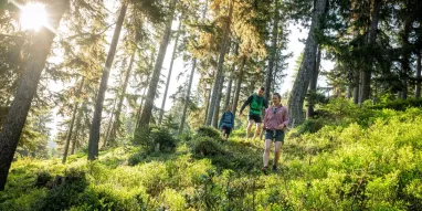 MAG-Balade_en_foret-JNJ_Photo-25350