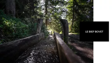 Bief Bovet Bief Bovet