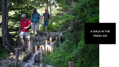 Walk in the fresh air Walk in the fresh air