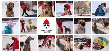 Ecole de ski canine La Plagne Ecole de ski canine La Plagne