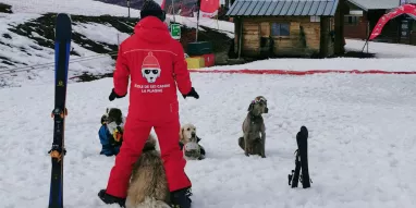 Ecole de ski canine La Plagne Ecole de ski canine La Plagne