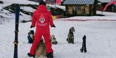 Ecole de ski canine La Plagne