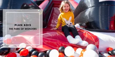 en-mag-sublicimes-plan-bois (2) en-mag-sublicimes-plan-bois (2)