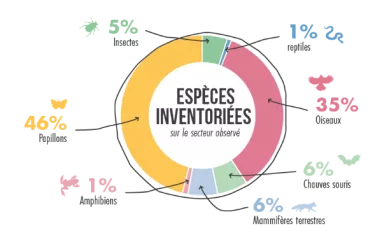Espèces inventoriées La Plagne Espèces inventoriées La Plagne
