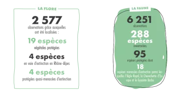 Faune et flore étudiées La Plagne Faune et flore étudiées La Plagne